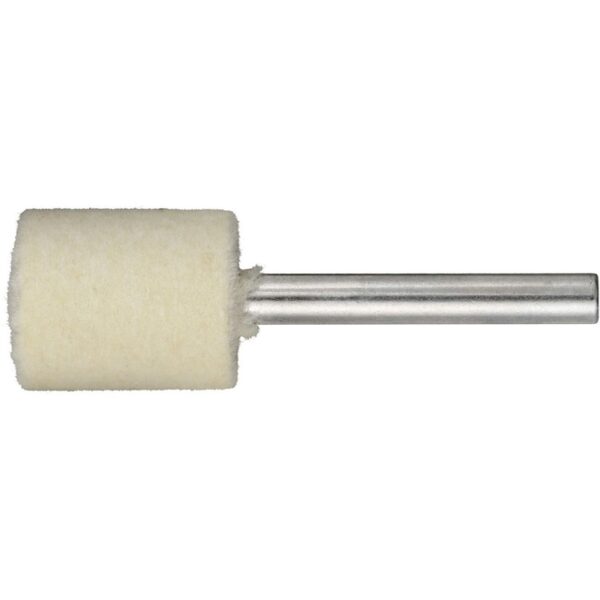 ŚCIERNICA TRZPIENIOWA P3ZY 2025.06 H3